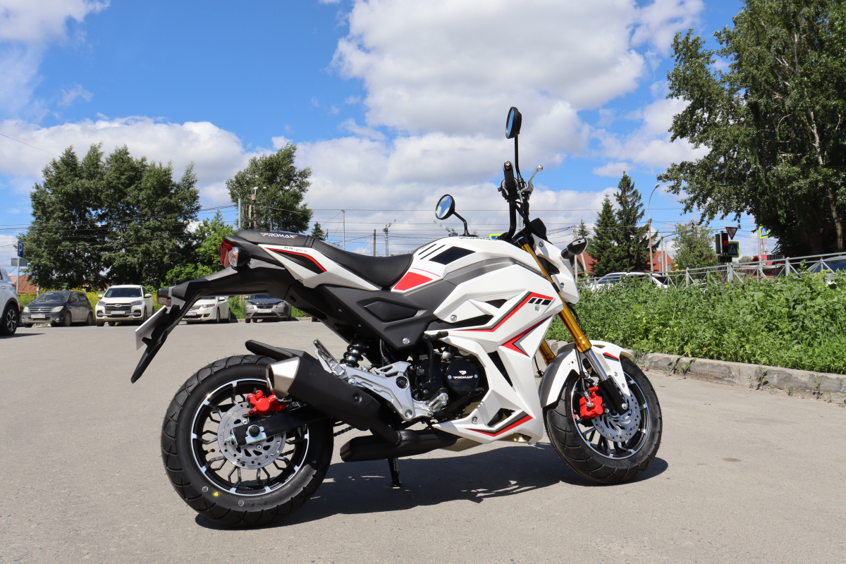 Мотоцикл PROMAX STRYKER 200(49) 2.0 в Астрахани