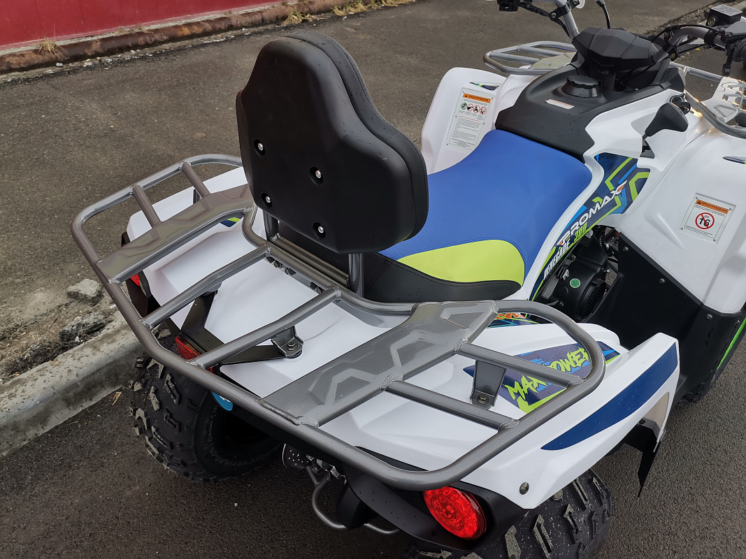 Квадроцикл PROMAX RENEGADE 280 LUX (2025) в Астрахани