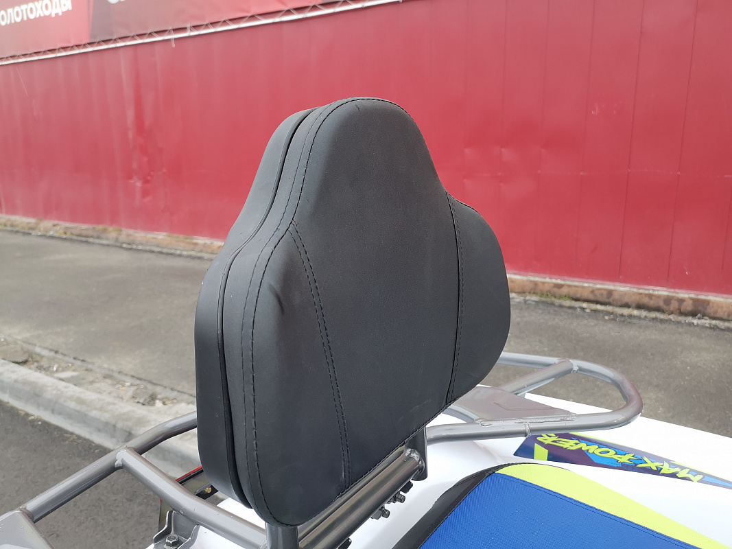 Квадроцикл PROMAX RENEGADE 280 LUX (2025) в Астрахани