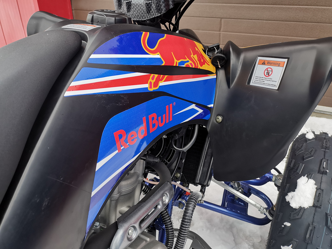Квадроцикл PROMAX RAPTOR 300 NEW RedBull в Астрахани