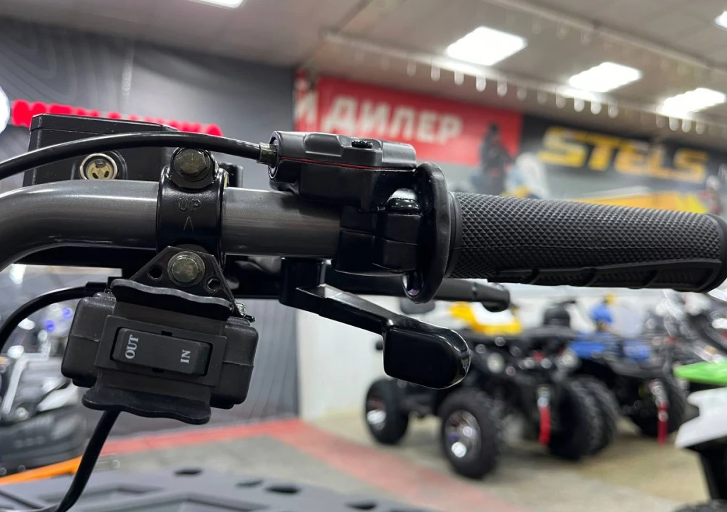 Квадроцикл PROMAX RENEGADE 300 LONG WINCH PRO (2025) в Астрахани