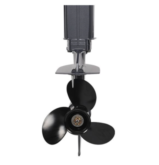 Лодочный мотор ALLFA CG Т40FW S в Астрахани