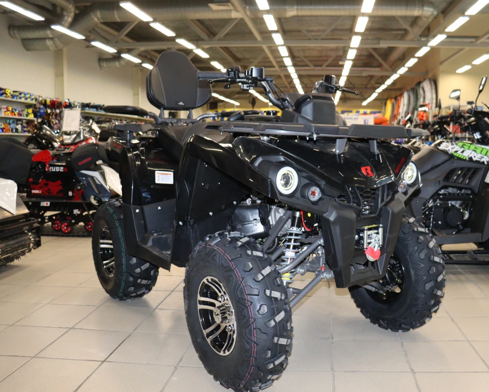Квадроцикл PROMAX RENEGADE 300 LONG WINCH PRO (2025) в Астрахани
