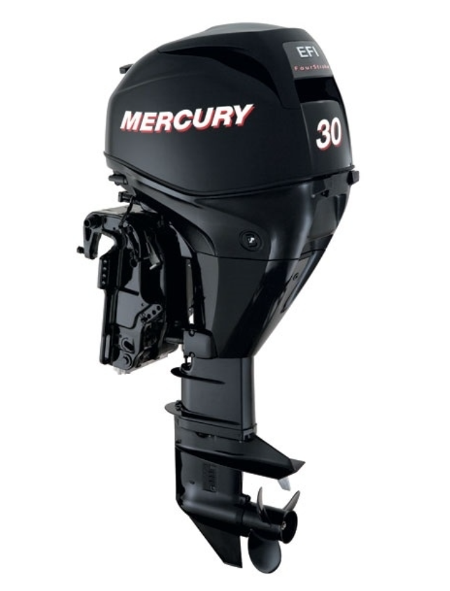 ЛОДОЧНЫЙ МОТОР MERCURY  F 30 ELH GA EFI в Астрахани
