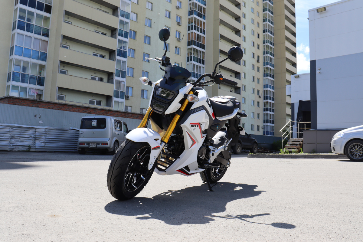 Мотоцикл PROMAX STRYKER 200(49) 2.0 в Астрахани