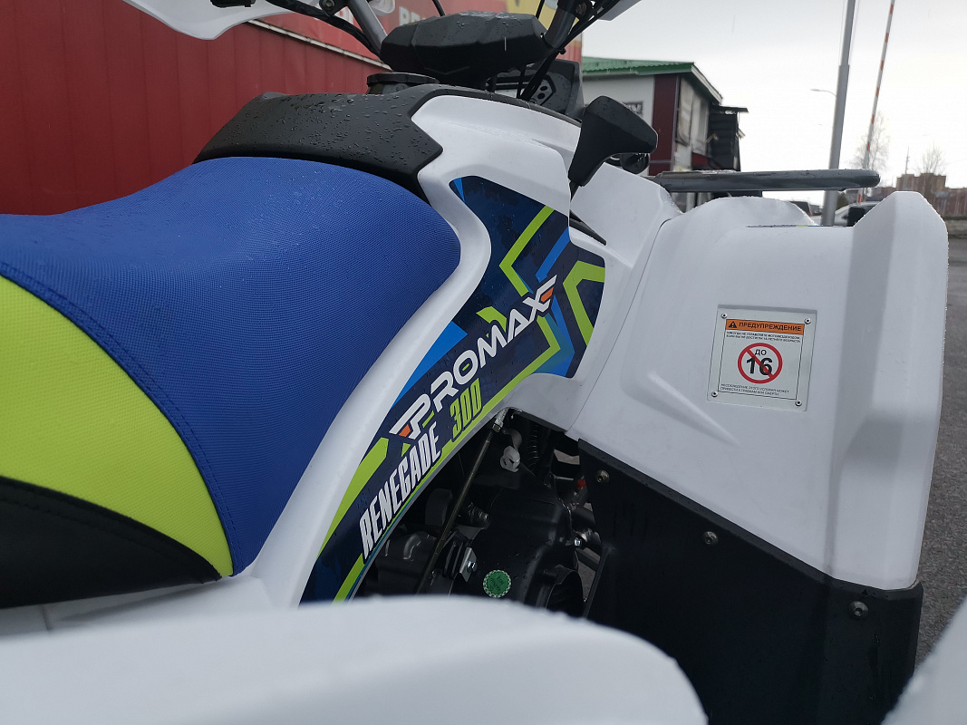 Квадроцикл PROMAX RENEGADE 280 LUX (2025) в Астрахани