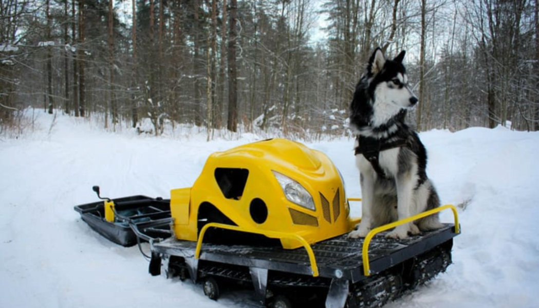 Мотобуксировщик LEBEDEV MOTORS ВОЛКОДАВ POWER V13 в Астрахани