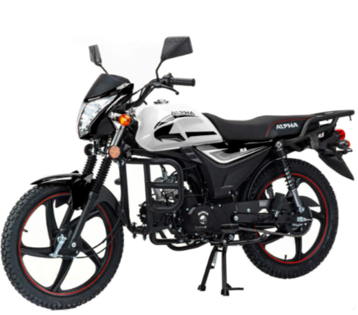 Мопед MOTOLAND (МОТОЛЕНД) Альфа RS 11 (LM48-B) в Астрахани