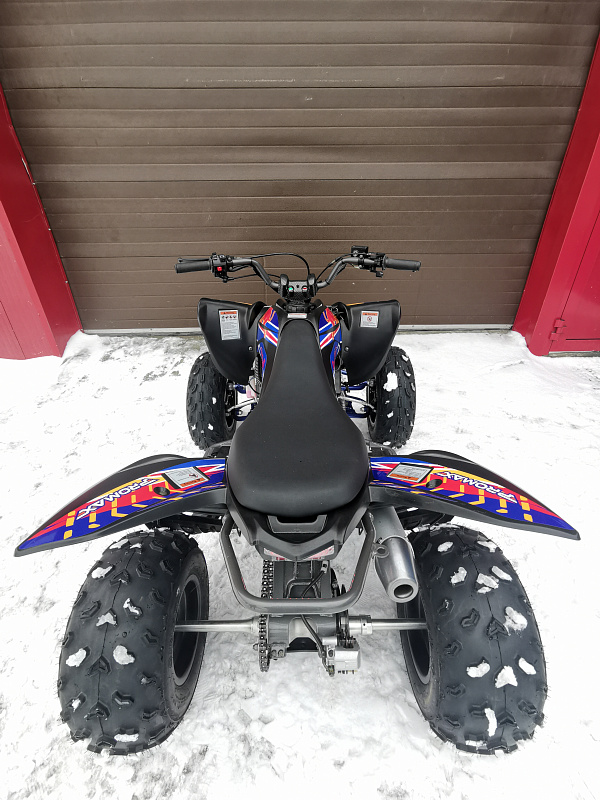 Квадроцикл PROMAX RAPTOR 300 NEW RedBull в Астрахани