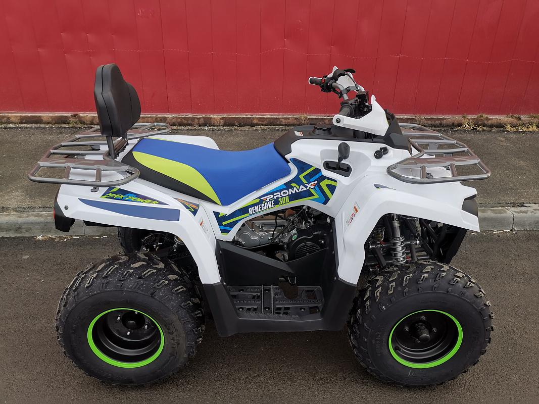 Квадроцикл PROMAX RENEGADE 280 LUX (2025) в Астрахани