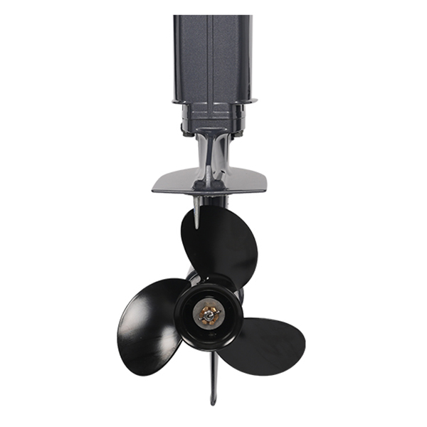 ЛОДОЧНЫЙ МОТОР ALLFA CG T30 FW S в Астрахани