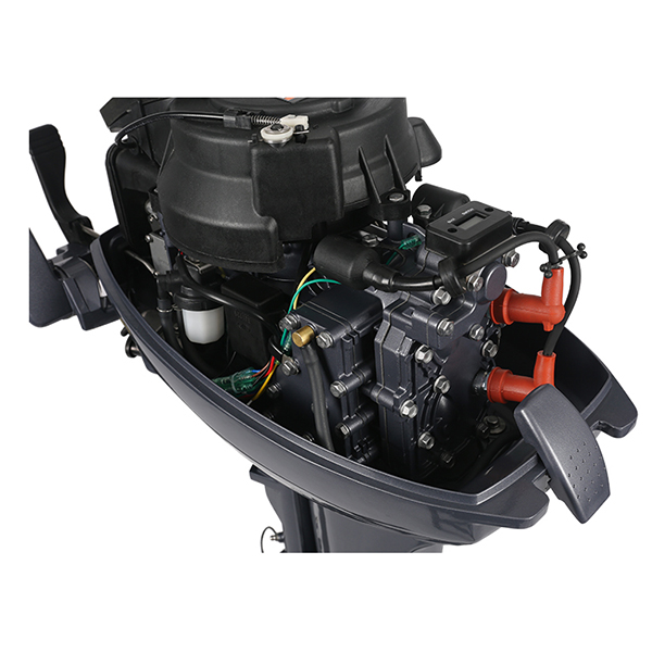 ЛОДОЧНЫЙ МОТОР ALLFA CG Т9,9 Limit в Астрахани