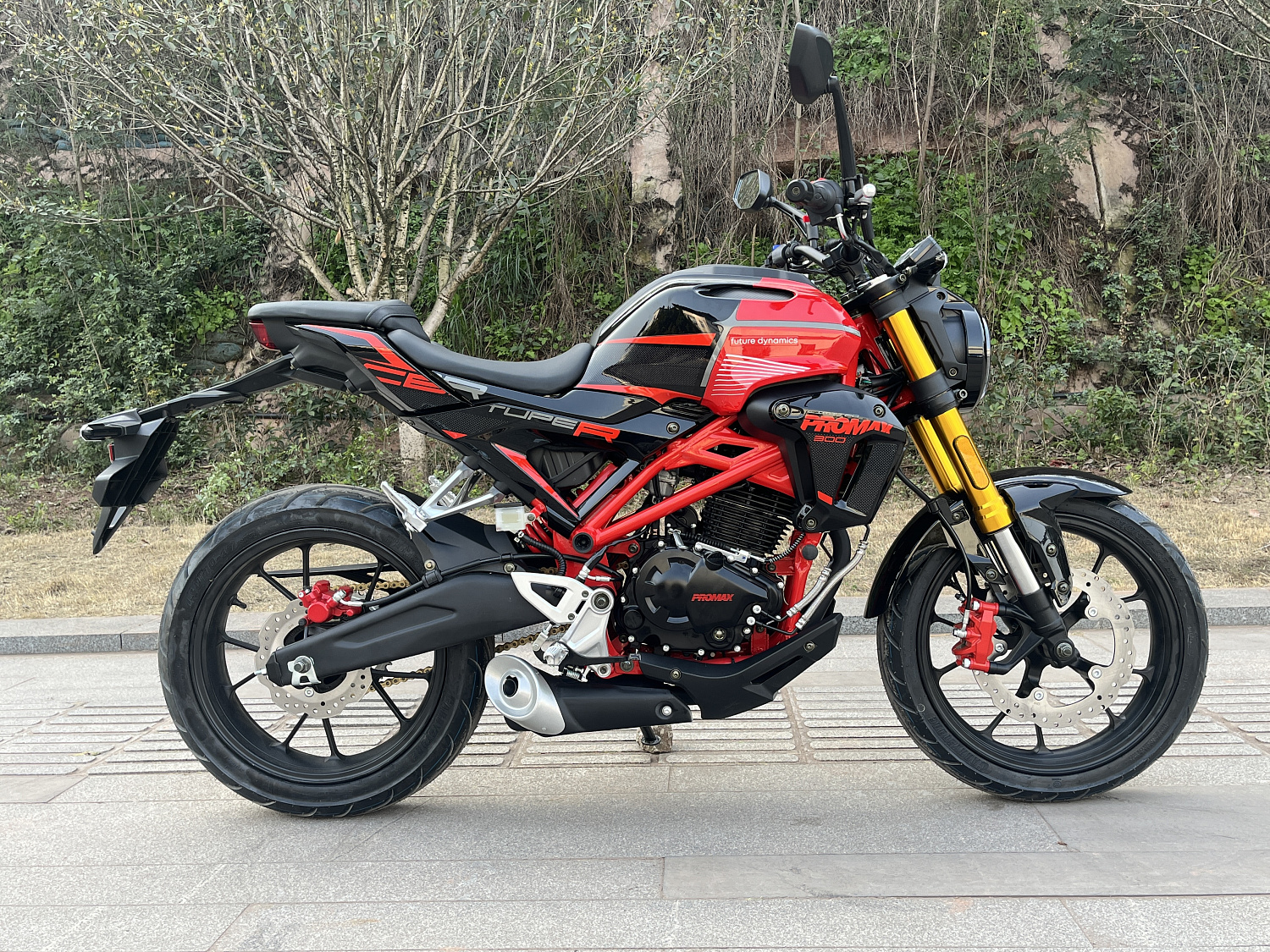 Мотоцикл PROMAX CB300 в Астрахани