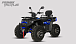 Квадроцикл PROMAX TAURUS 300 MAX-PRO LONG в Астрахани