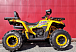 Квадроцикл PROMAX STORM 280 LUX в Астрахани