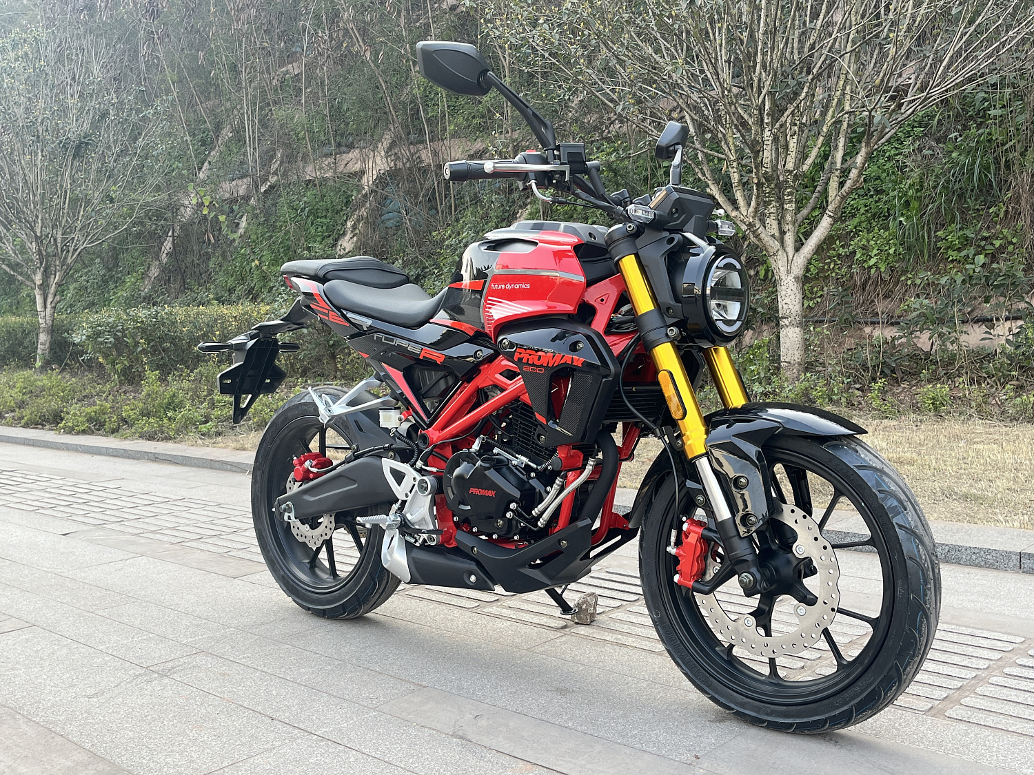 Мотоцикл PROMAX CB300 в Астрахани