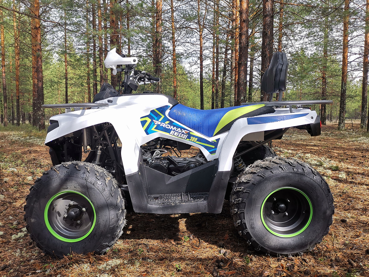 Квадроцикл PROMAX RENEGADE 280 (2025) в Астрахани