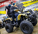 Квадроцикл PROMAX ATV 250 (2025) в Астрахани
