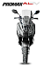 МаксиСкутер PROMAX-HONDA ADV 150 (49) (Inspired by HONDA) в Астрахани