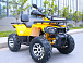 Квадроцикл MOTOLAND (МОТОЛЕНД) VOX200 WILD TRACK X PRO (баланс. вал) в Астрахани