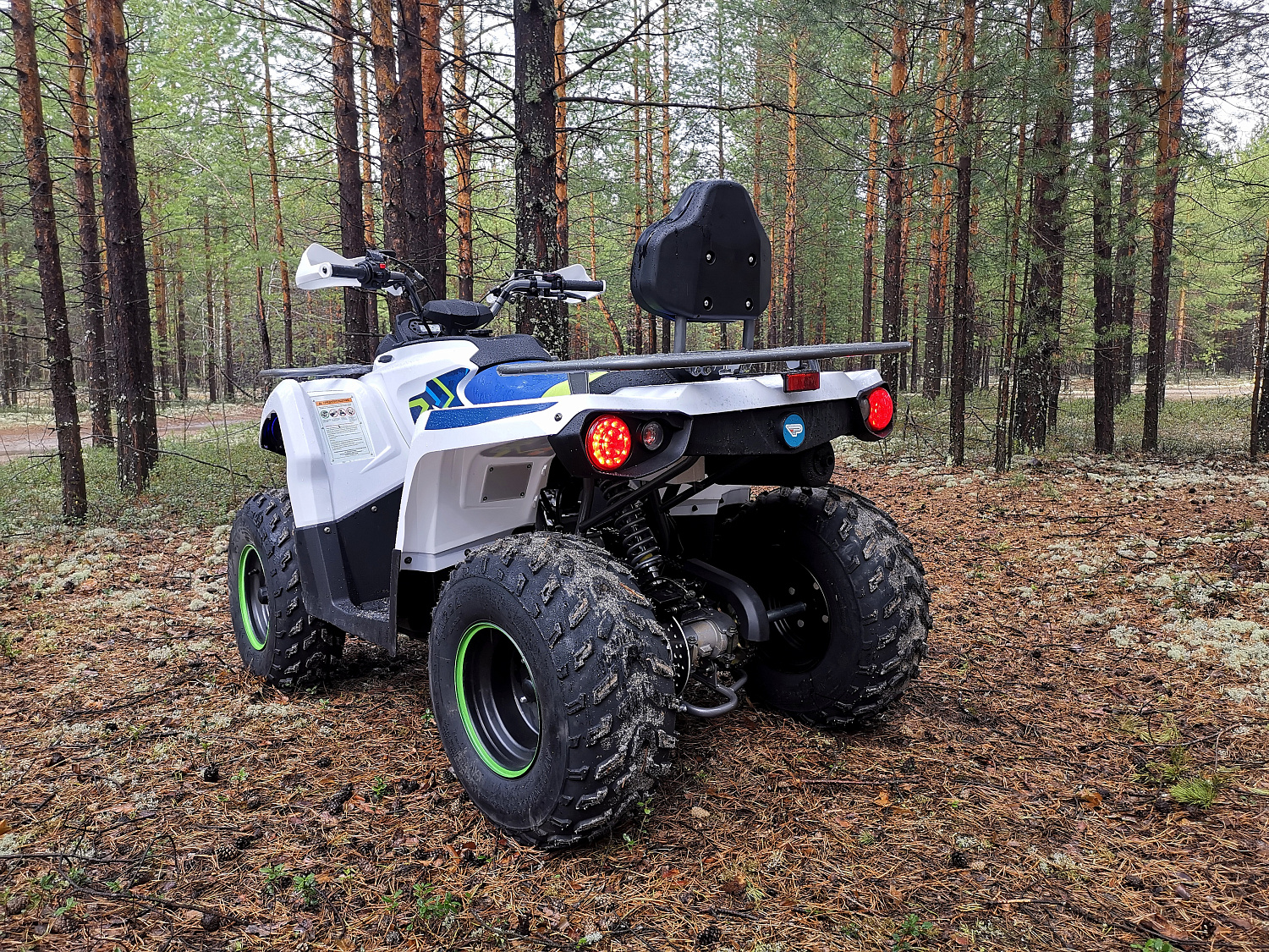 Квадроцикл PROMAX RENEGADE 280 (2025) в Астрахани
