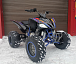 Квадроцикл PROMAX RAPTOR 300 NEW RedBull в Астрахани