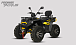 Квадроцикл PROMAX TAURUS 300 MAX-PRO LONG в Астрахани